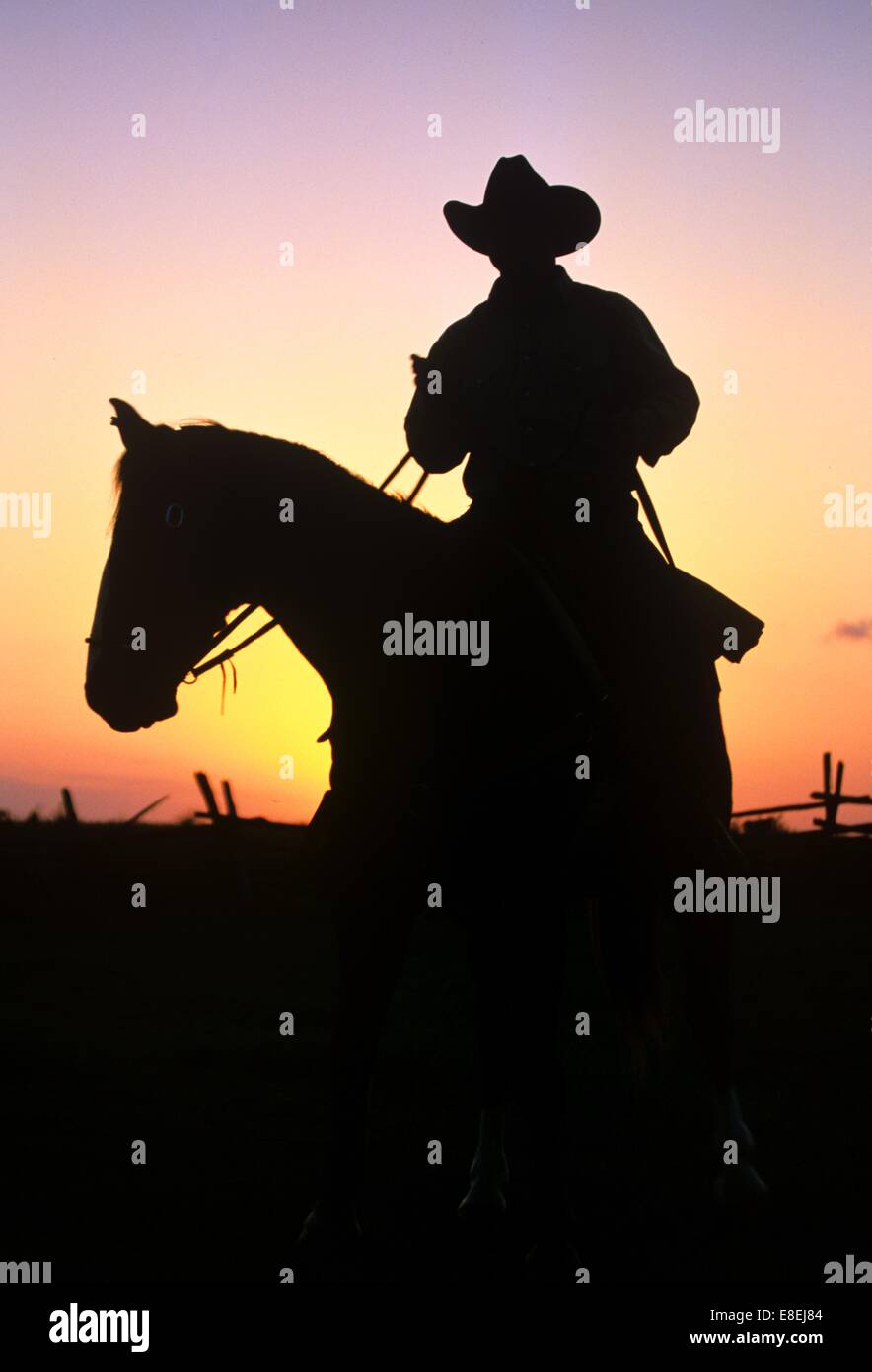 silhouette of  a cowboy riding a horse Stock Photo