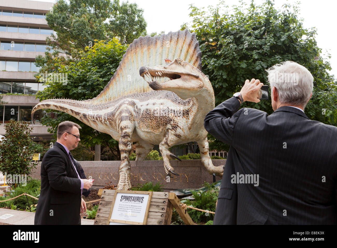 Spinosaurus sculpture in front of the National Geographic Society HQ - Washington, DC USA Stock Photo