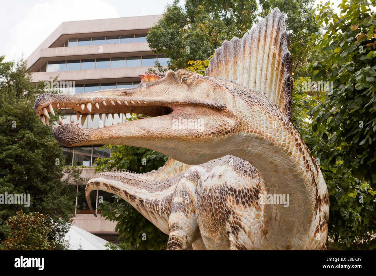 Spinosaurus sculpture in front of the National Geographic Society HQ - Washington, DC USA Stock Photo