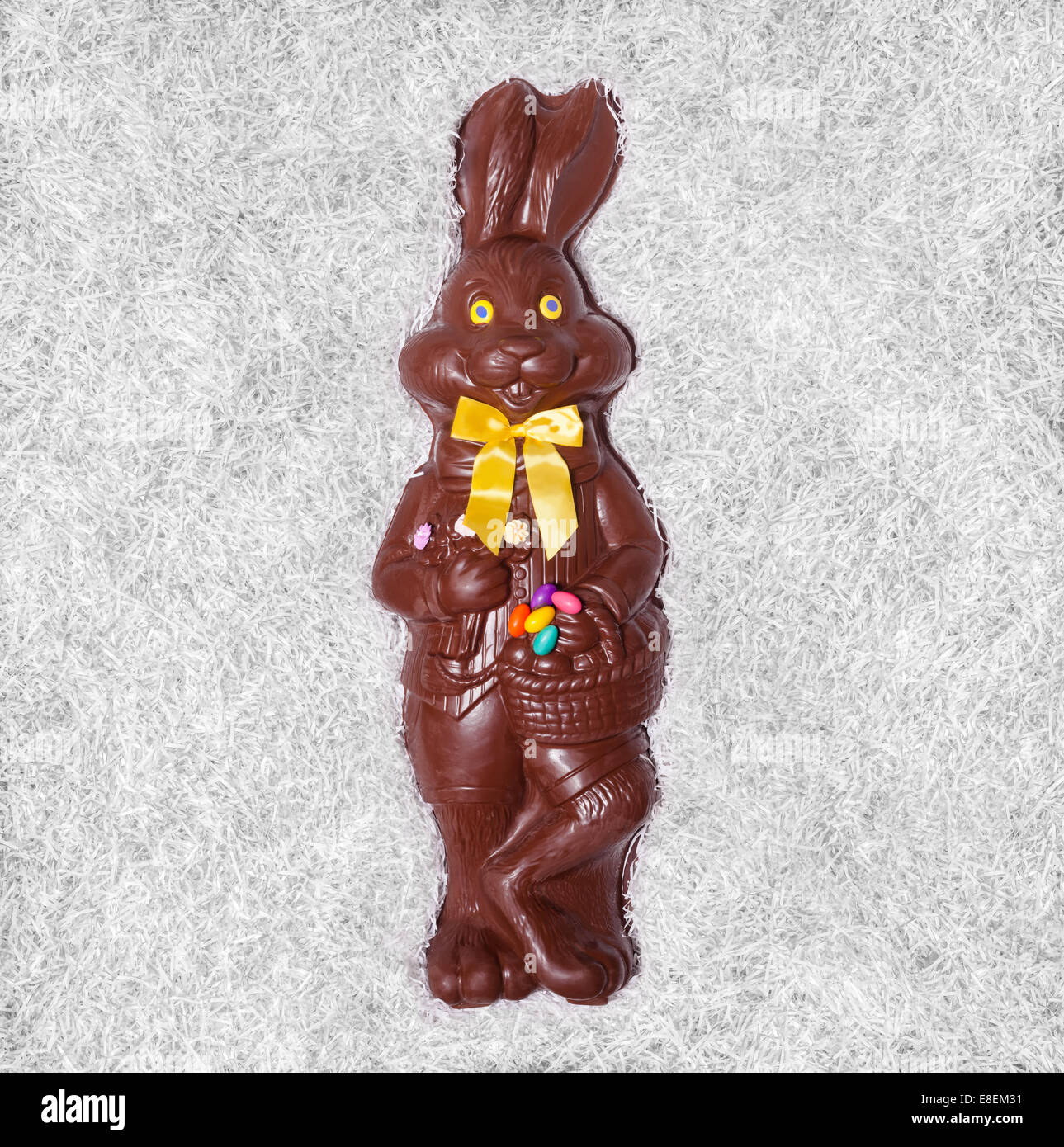 Details of a Big Chocolate Bunny in the box Stock Photo