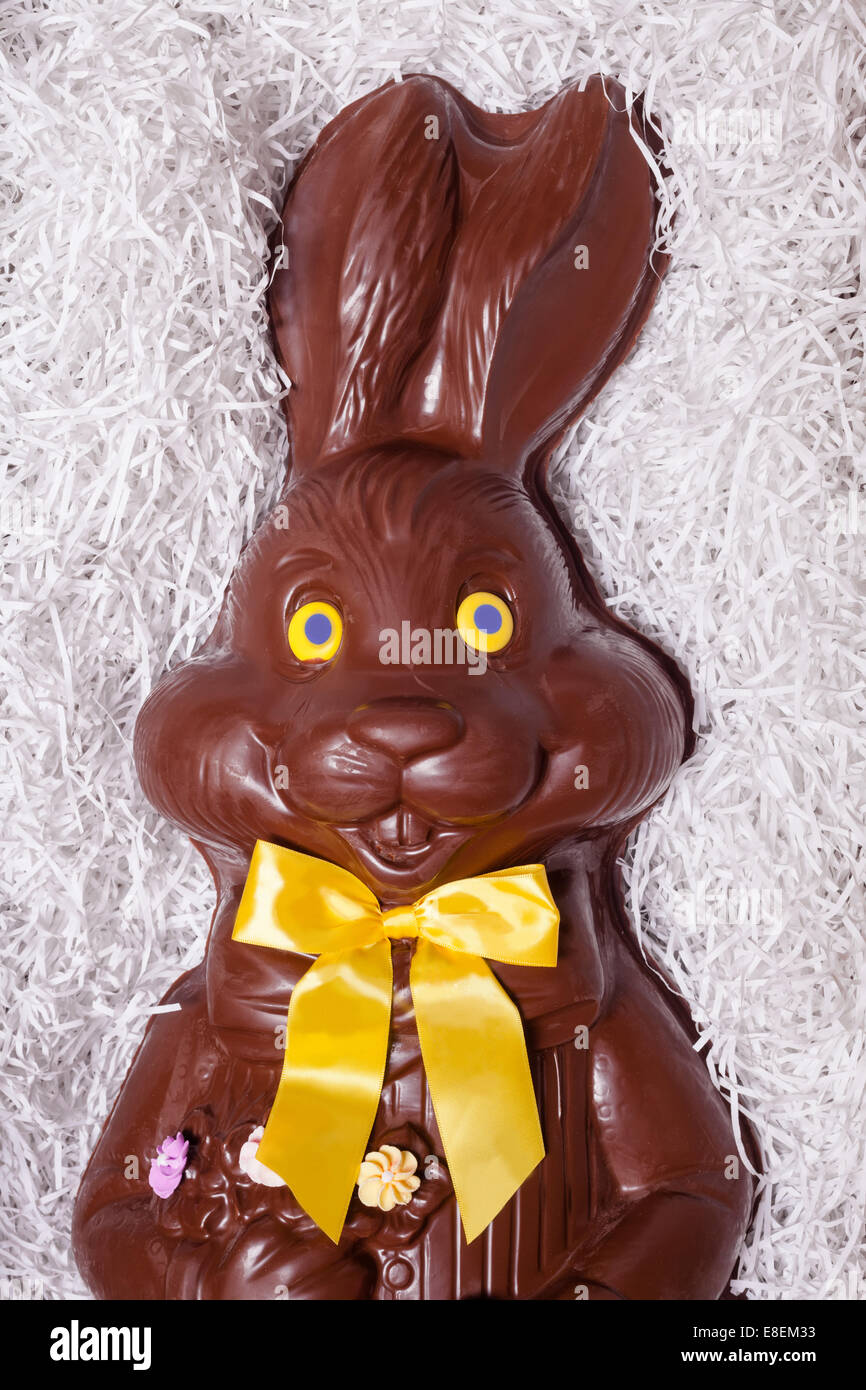 Details of a Big Chocolate Bunny in the box Stock Photo Alamy