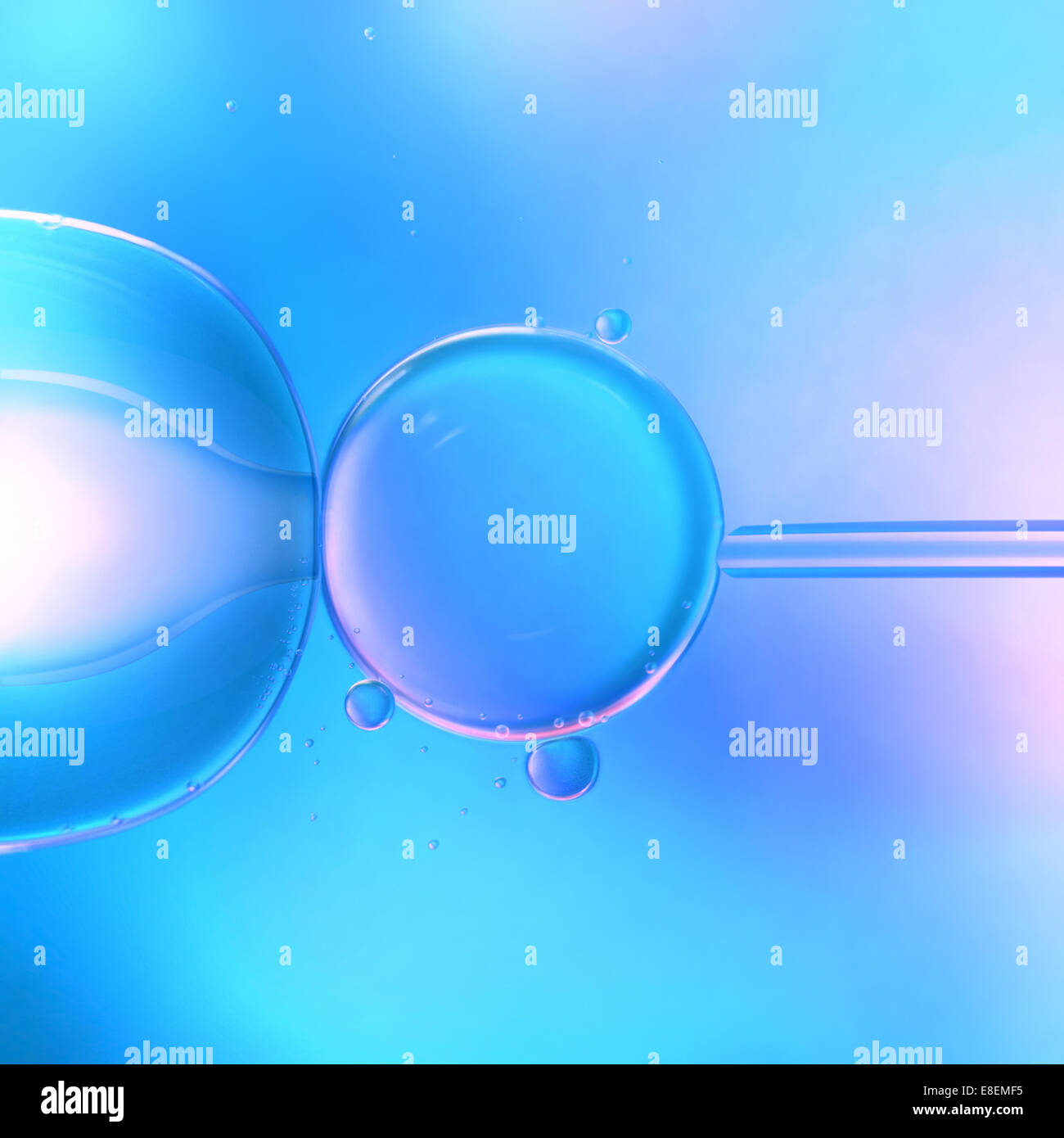 Image concept of in vitro fertilization assisted by microscope. Stock Photo