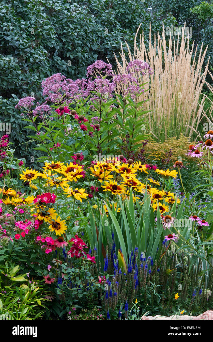 A perennial flower bed Stock Photo