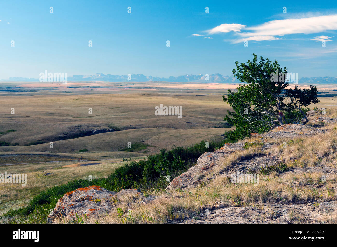 Elk2036830 Canada, Alberta, Fort Macleod, Head Smashed In Buffalo Jump