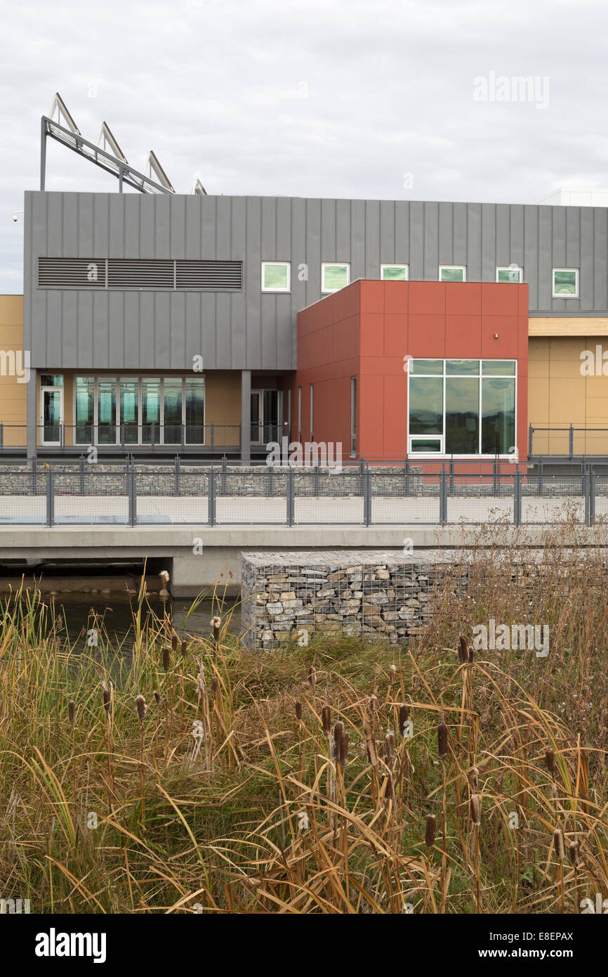 Environmental Education and Ethics Centre with water treatment wetland including Cattails (Typha latifolia) in Ralph Klein Park Stock Photo