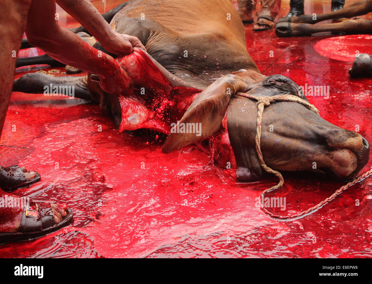 Warning Graphic Content Stock Photos & Warning Graphic 