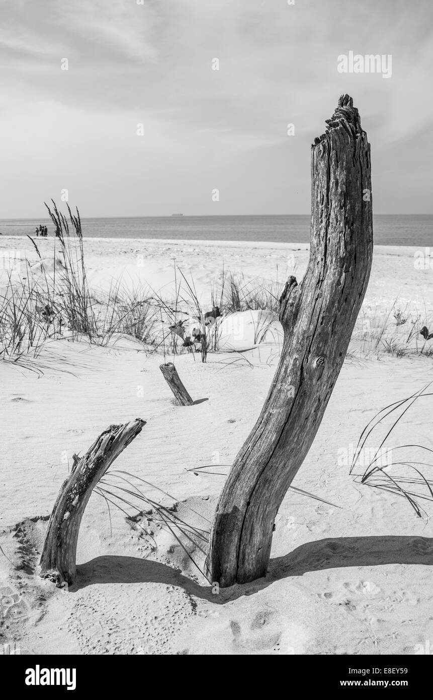 Cape Kolka Beach, Latvia Stock Photo - Alamy