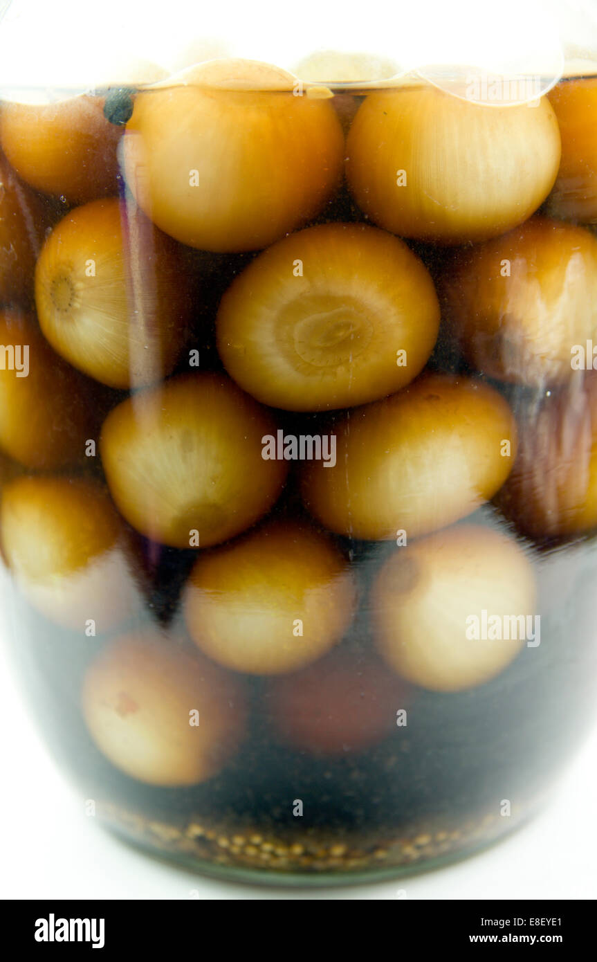 Jar of homemade pickled onions. Stock Photo