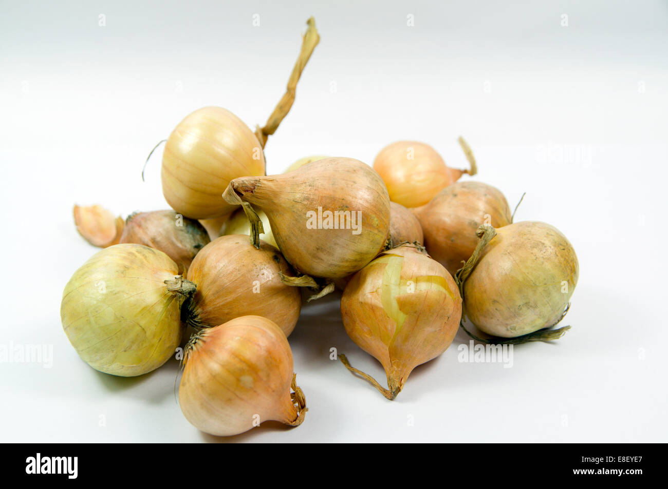 Pickling onions. Stock Photo