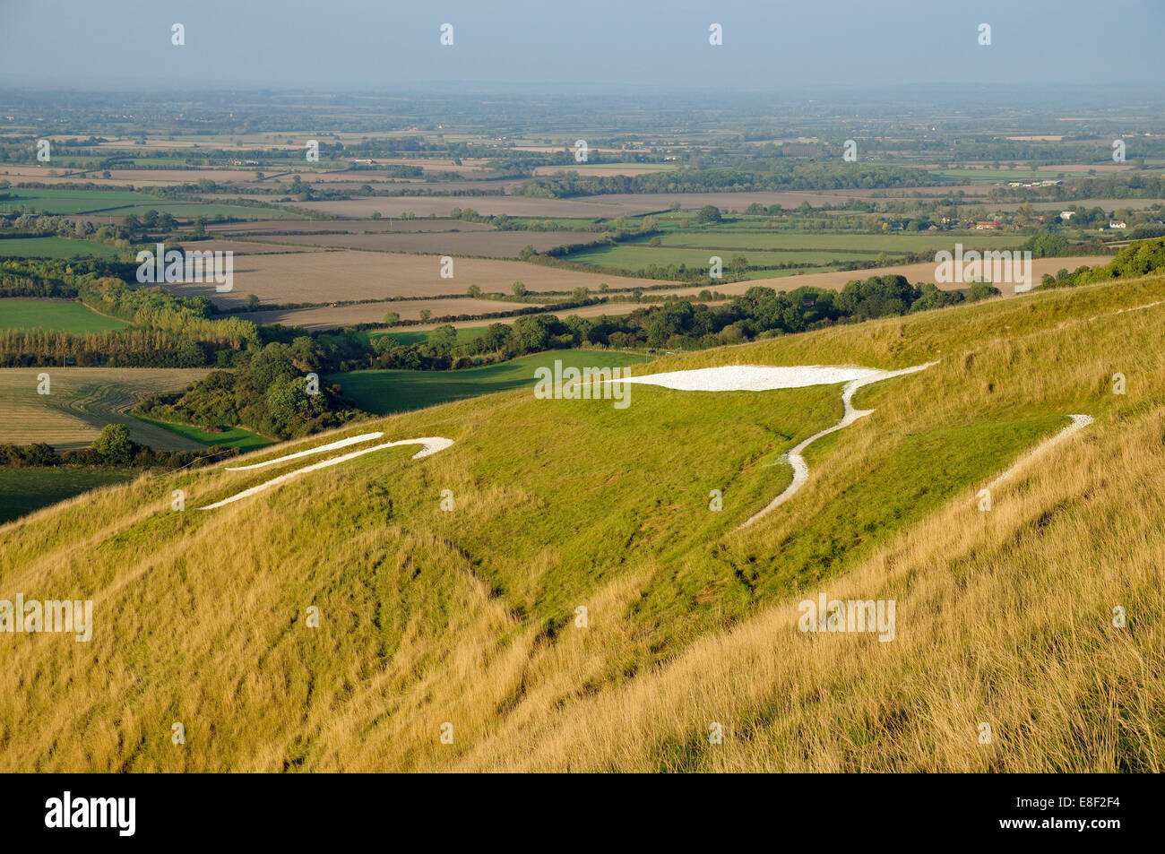 Uffington White Horse Hill, The Ridgeway, Oxfordshire Stock Photo Alamy