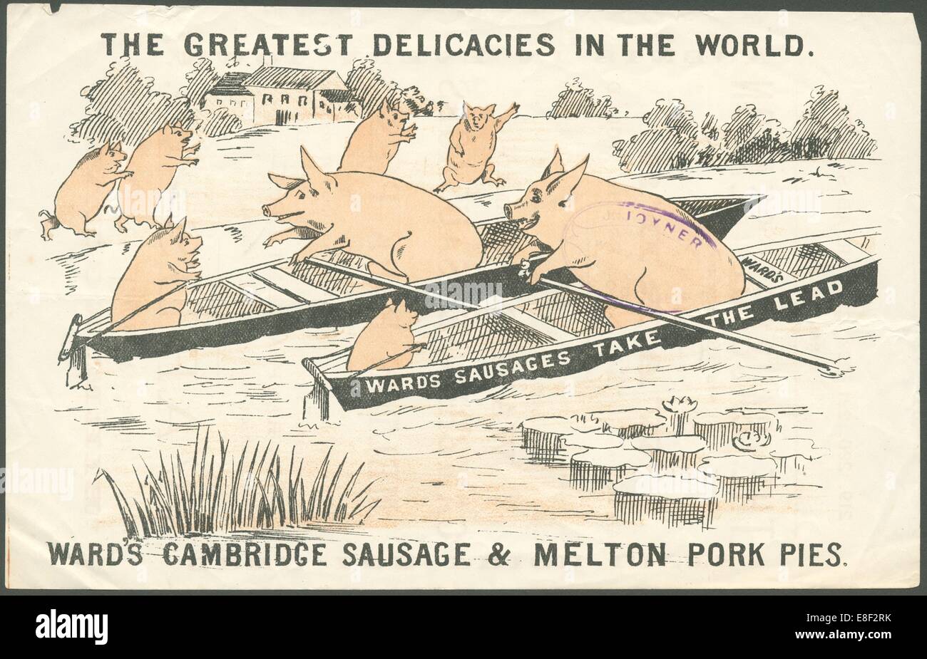 Meat Industry 19th Century Stock Photos & Meat Industry 19th Century