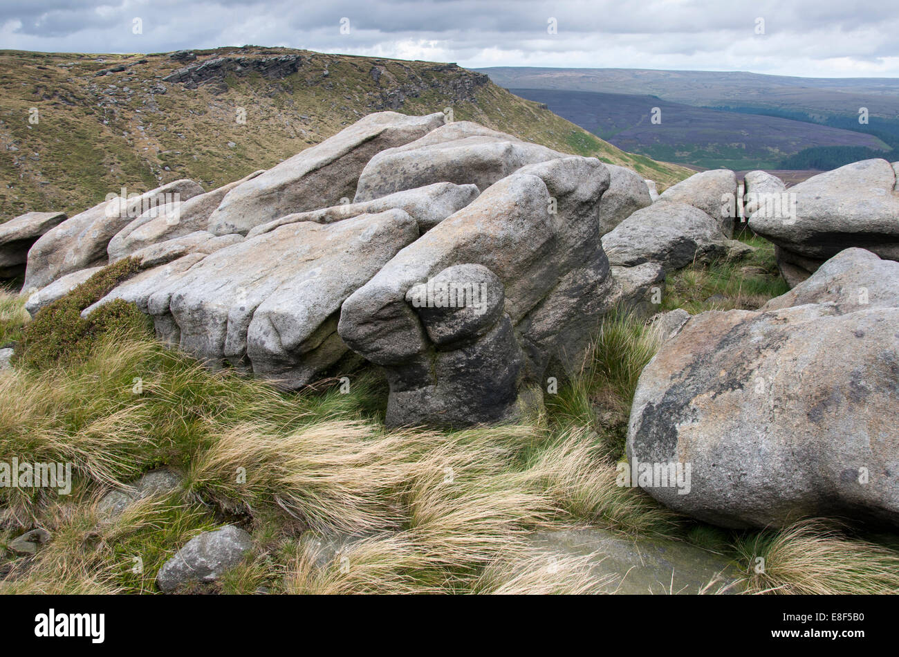 Moorland textures on Kinder Scout, Derbyshire, England. Stock Photo