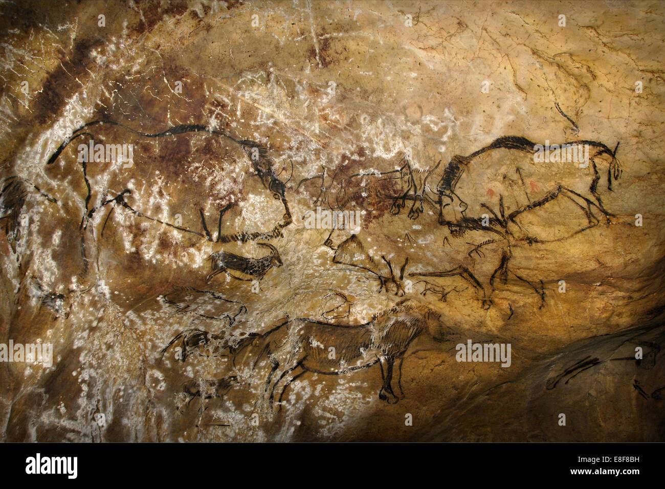 Painting in the Cave of Niaux. Artist: Art of the Upper Paleolithic Stock Photo