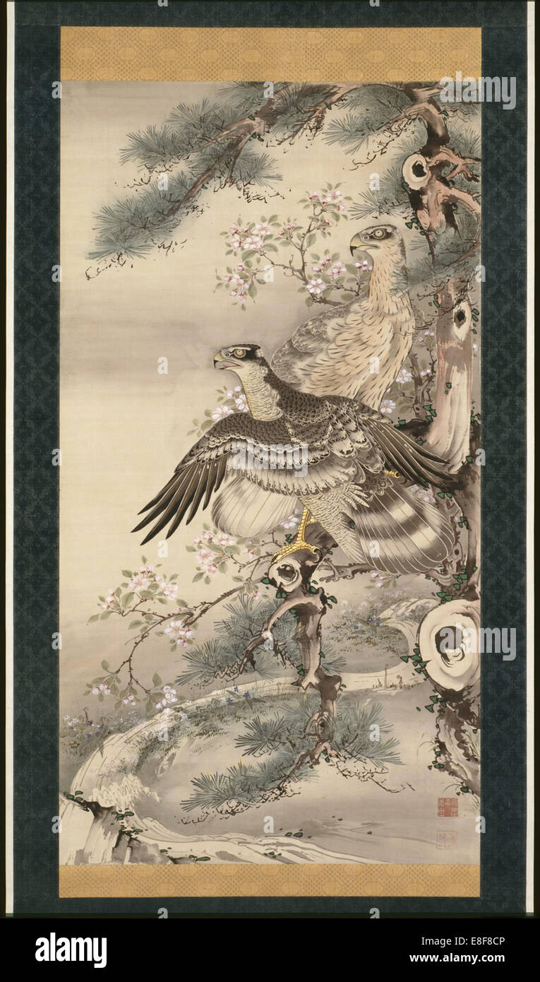 Pair of Hawks with Branch and Blossoms. Artist: Shohaku, Soga (1730-1781) Stock Photo