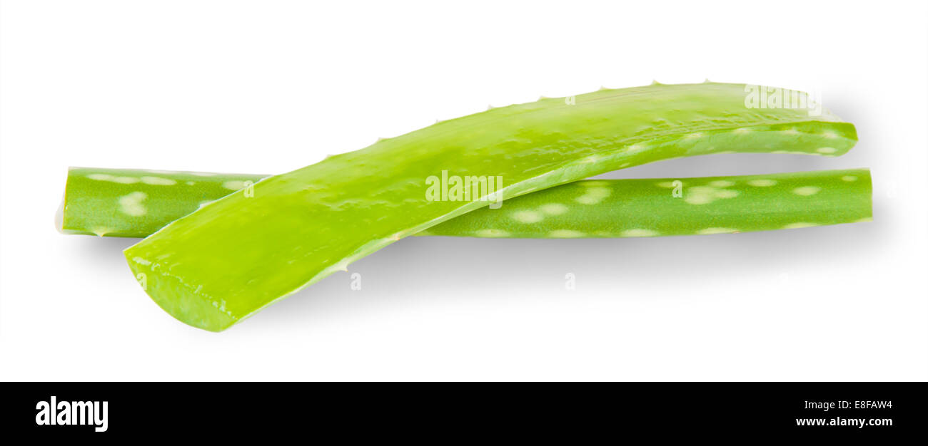 Incised Along The Stems Of Aloe Isolated On White Background Stock Photo
