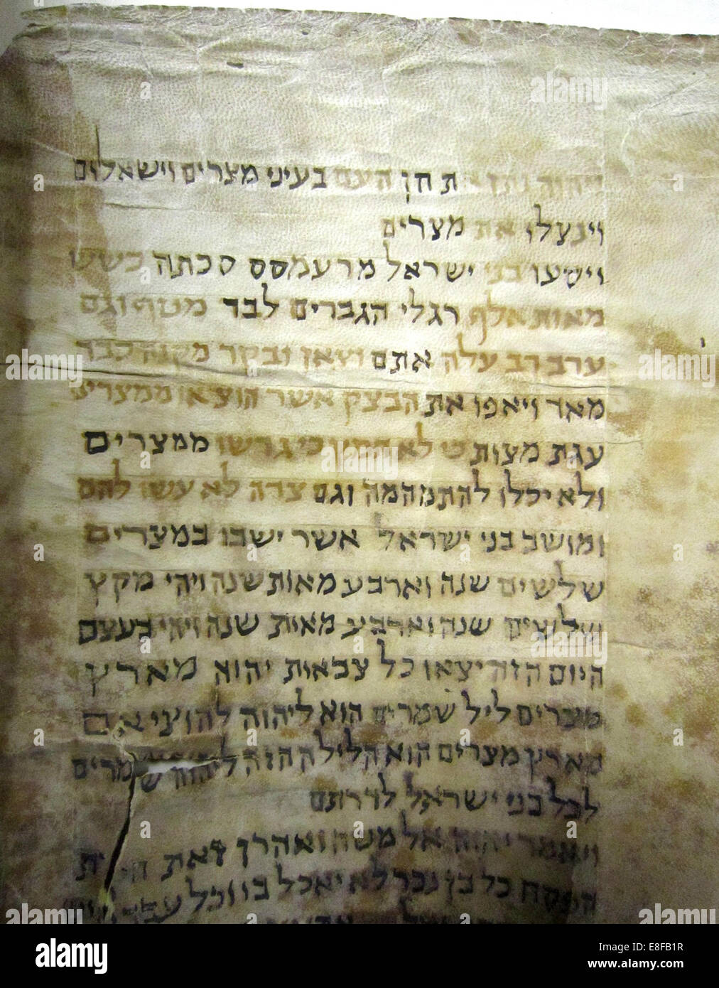 Torah scribe hi-res stock photography and images - Alamy