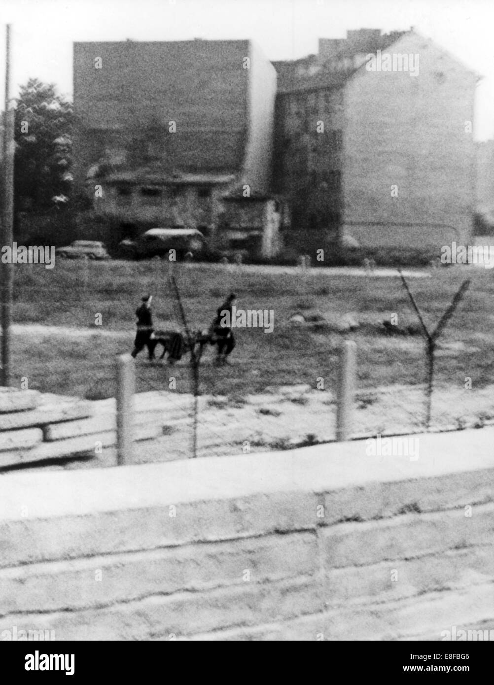 Evacuation of the body by East Berlin border guards. A 40 to 50 year old man got shot by East Berlin border guards during his escape attempt on the cemetery at the border corner Bernauer Street/ Berg Street on 4th September 1962. The Federal Republic of Germany and the German Democratic Republic were split into west and east by an iron curtain from 13th August 1961, the day of the building of Berlin Wall, to the fall of the wall on 9th November 1989. Stock Photo