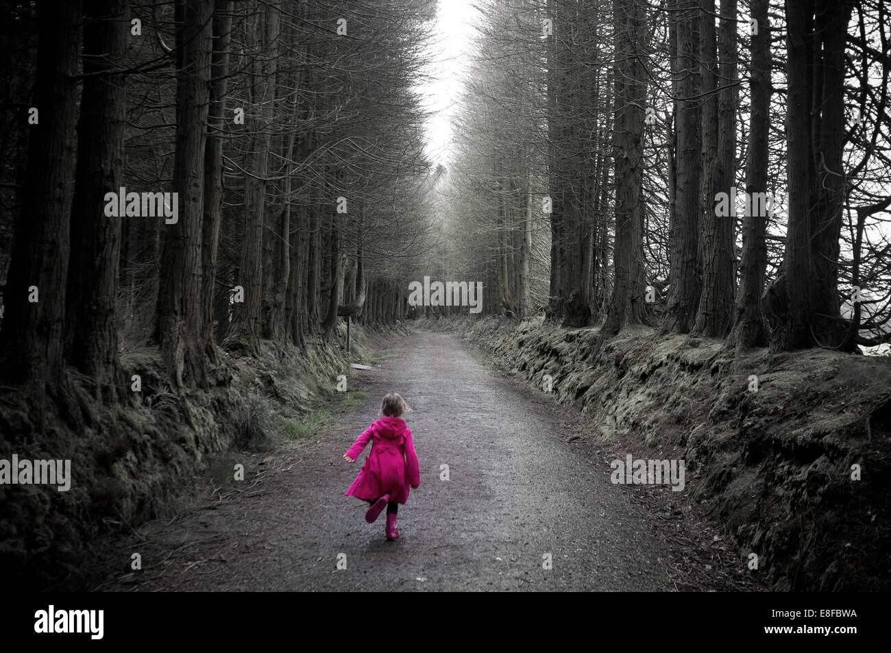 Little Red Riding Hood in the woods - forest Stock Photo