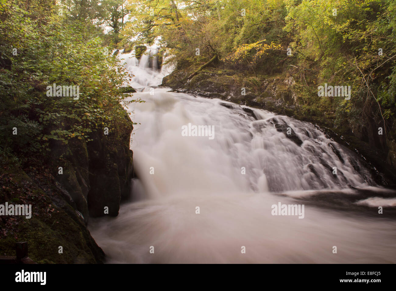 Swallow Falls, near Betws-y-Coed, Conwy Valley, Snowdonia National Park, North Wales Stock Photo