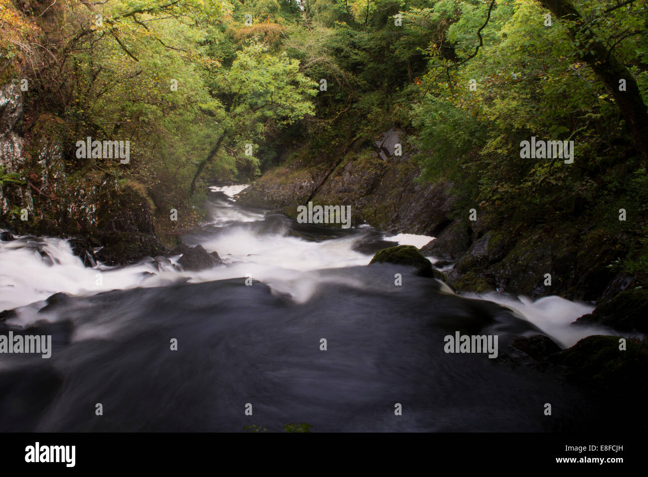 Swallow Falls, near Betws-y-Coed, Snowdonia National Park, North Wales Stock Photo