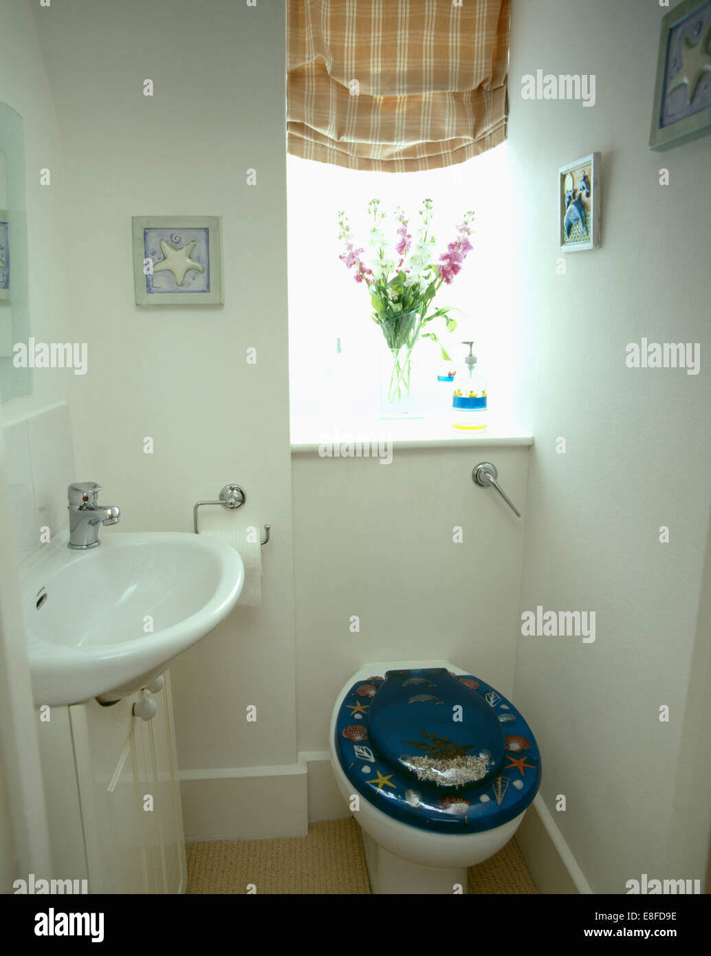 Small white cloakroom with striped blind on window above toilet with
