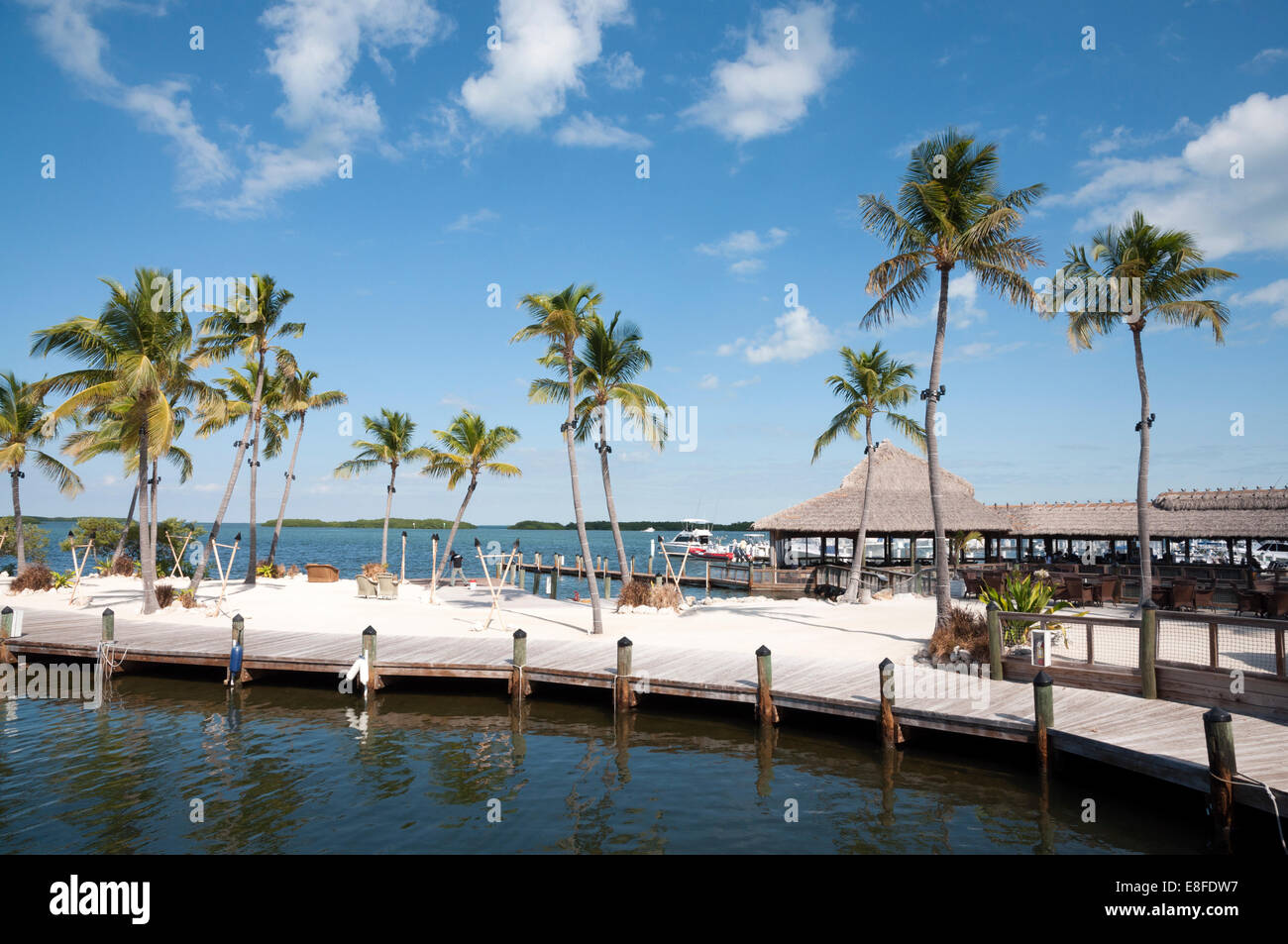 Waterfront walk and Palm Trees on Florida Keys, USA Stock Photo