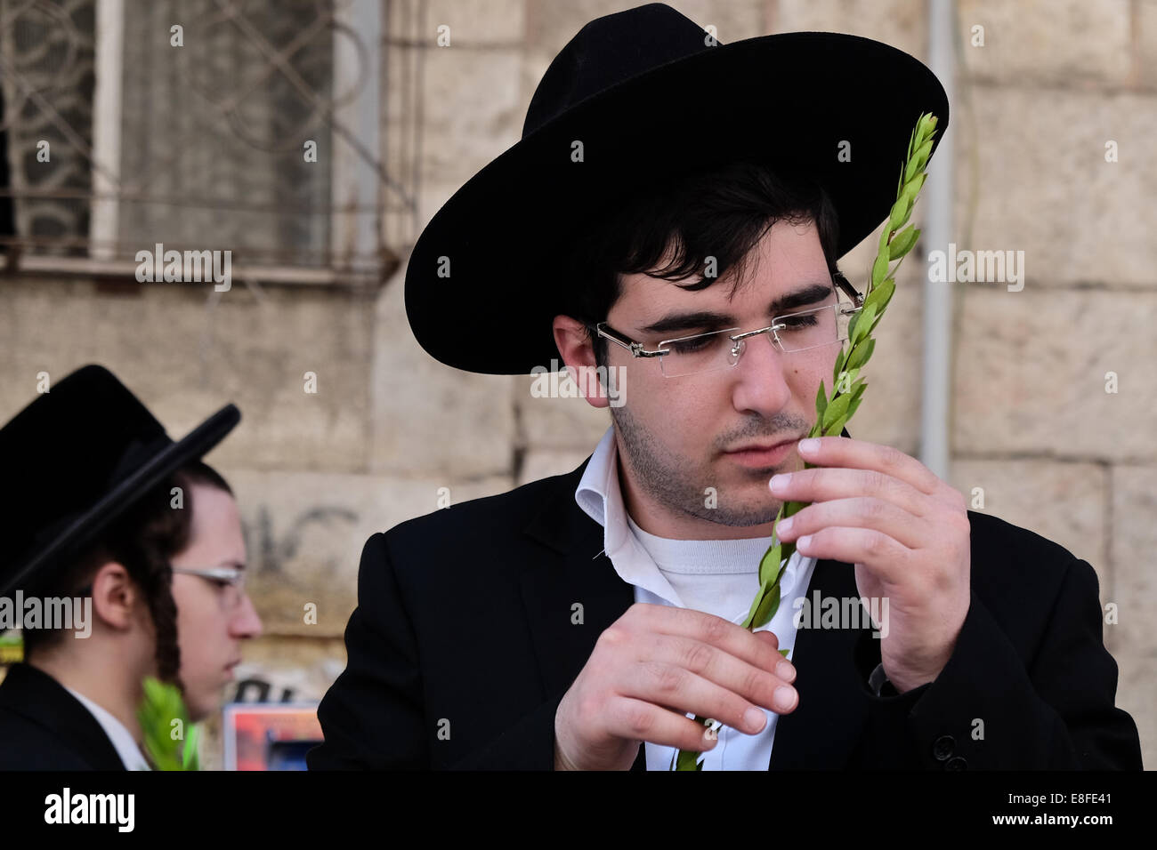 Israel. 7th October, 2014. A Jewish religious man meticulously inspects ...