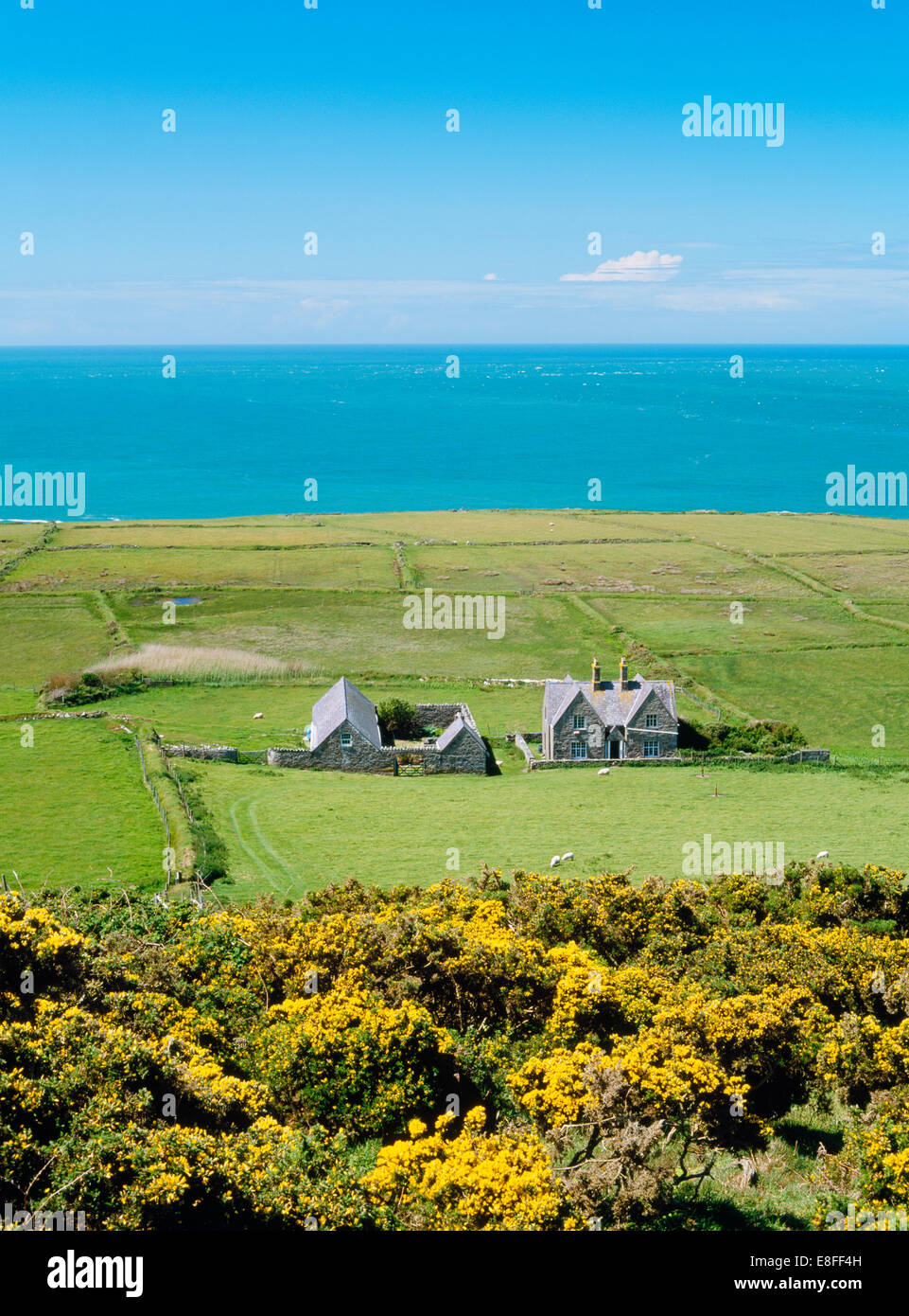 Lord newborough hires stock photography and images Alamy