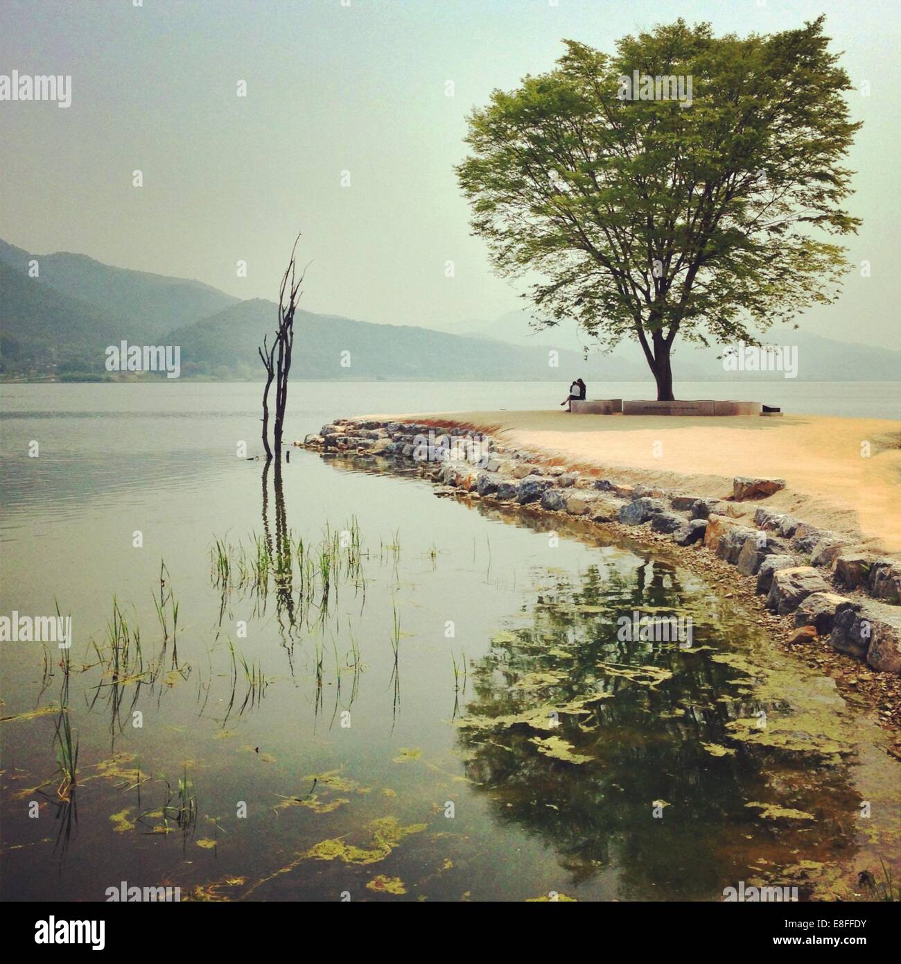 Two men sitting under tree hi-res stock photography and images - Alamy