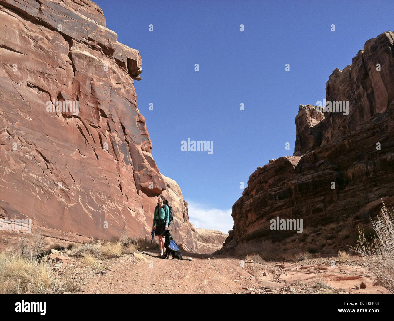 Woman and dog hiking in desert Stock Photo