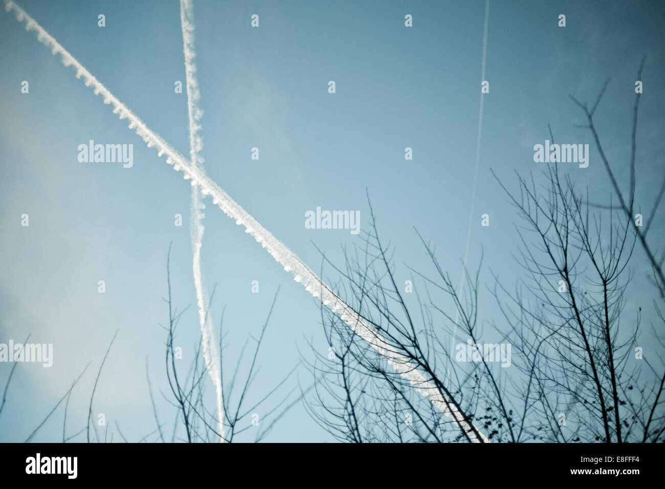 Contrails over trees Stock Photo