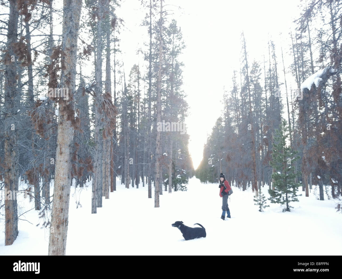 Woman walking dog on snowy hi-res stock photography and images - Alamy