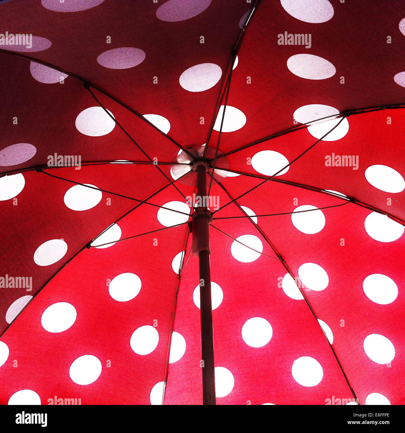 Open umbrella with polka dot pattern Stock Photo