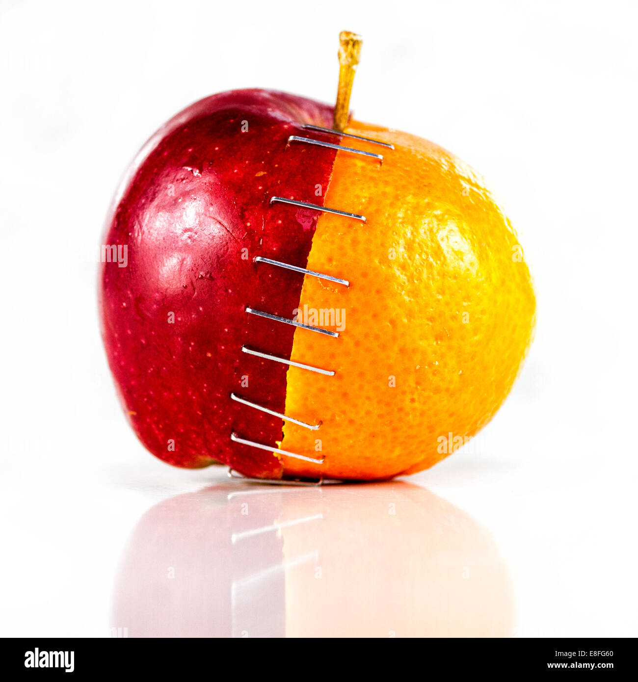 Apple and orange stapled together Stock Photo Alamy