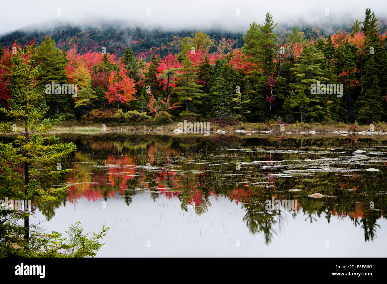 Autumn landscape, New England, United States Stock Photo