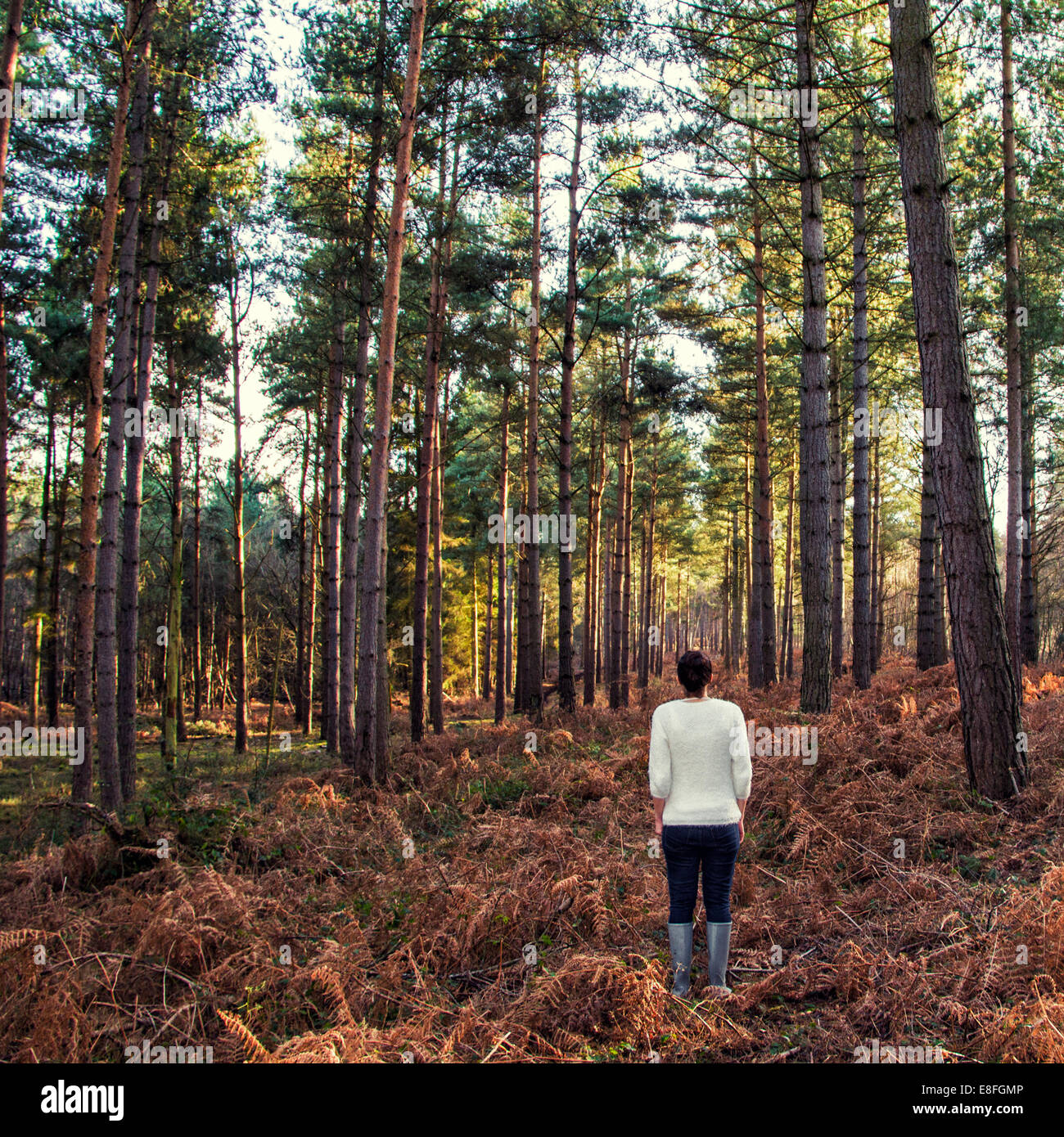 Rear view of woman standing in forest Stock Photo - Alamy