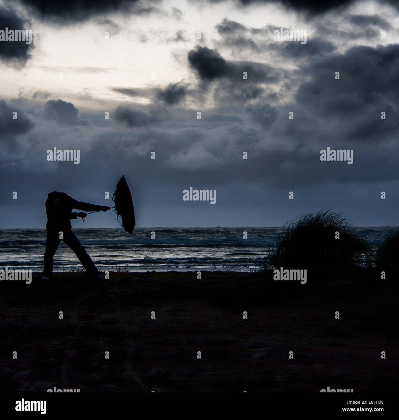 My Image 30