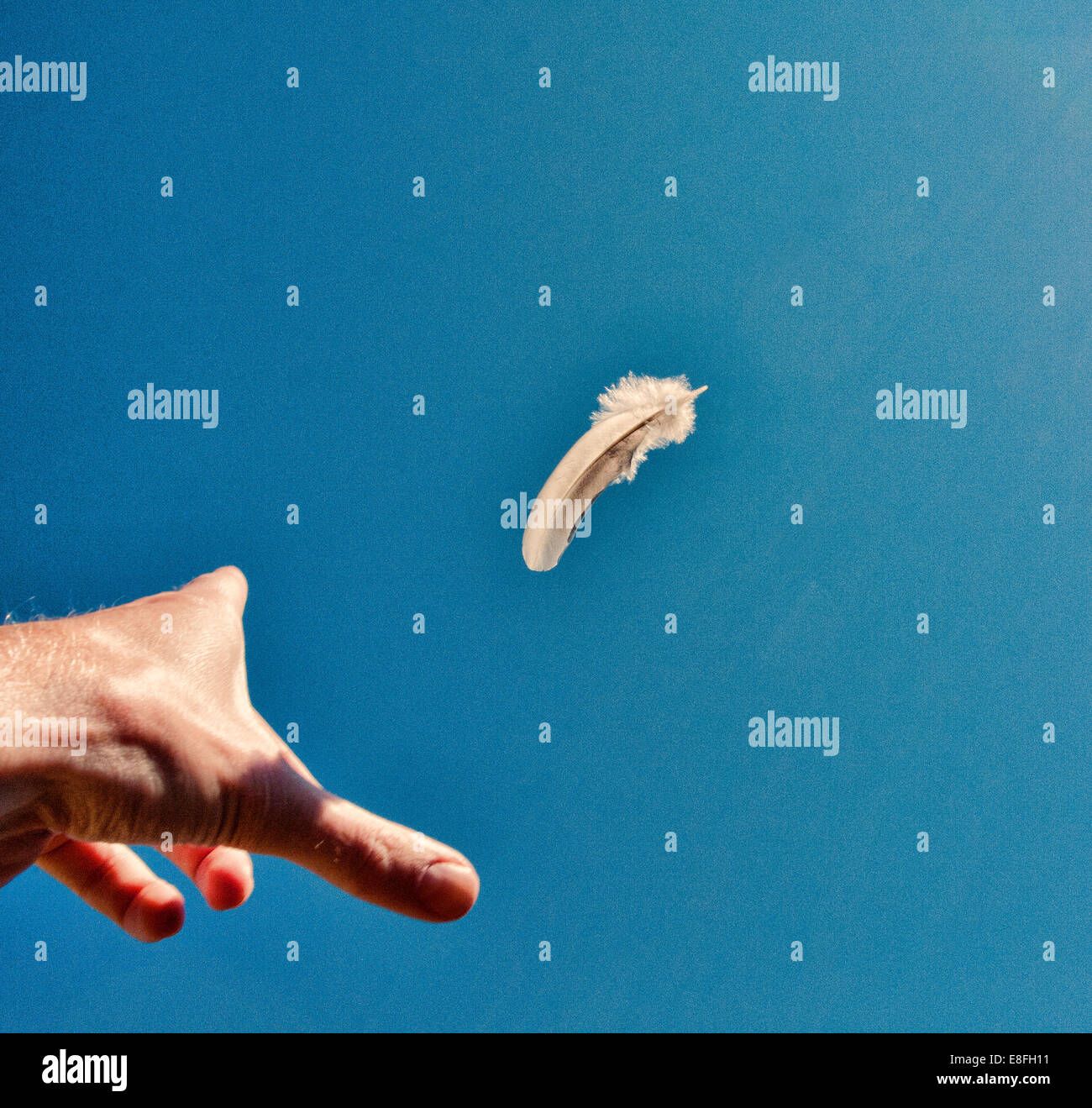 Human hand throwing feather into air Stock Photo Alamy