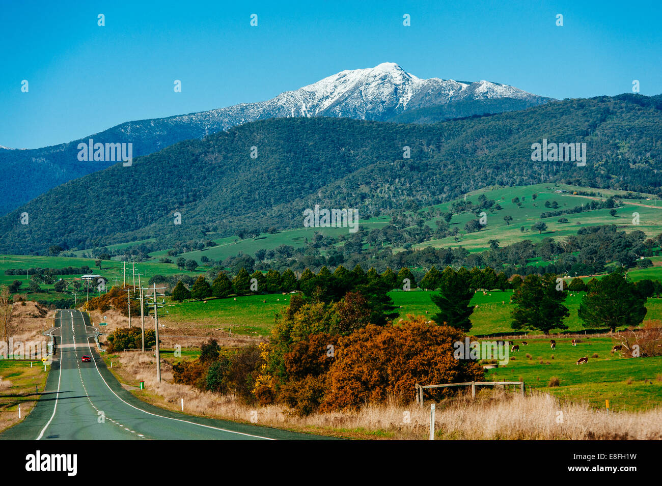 Australia, Victoria, Shire of Mansfield, Mt Bulle village, Snowcapped Mt Buller Stock Photo