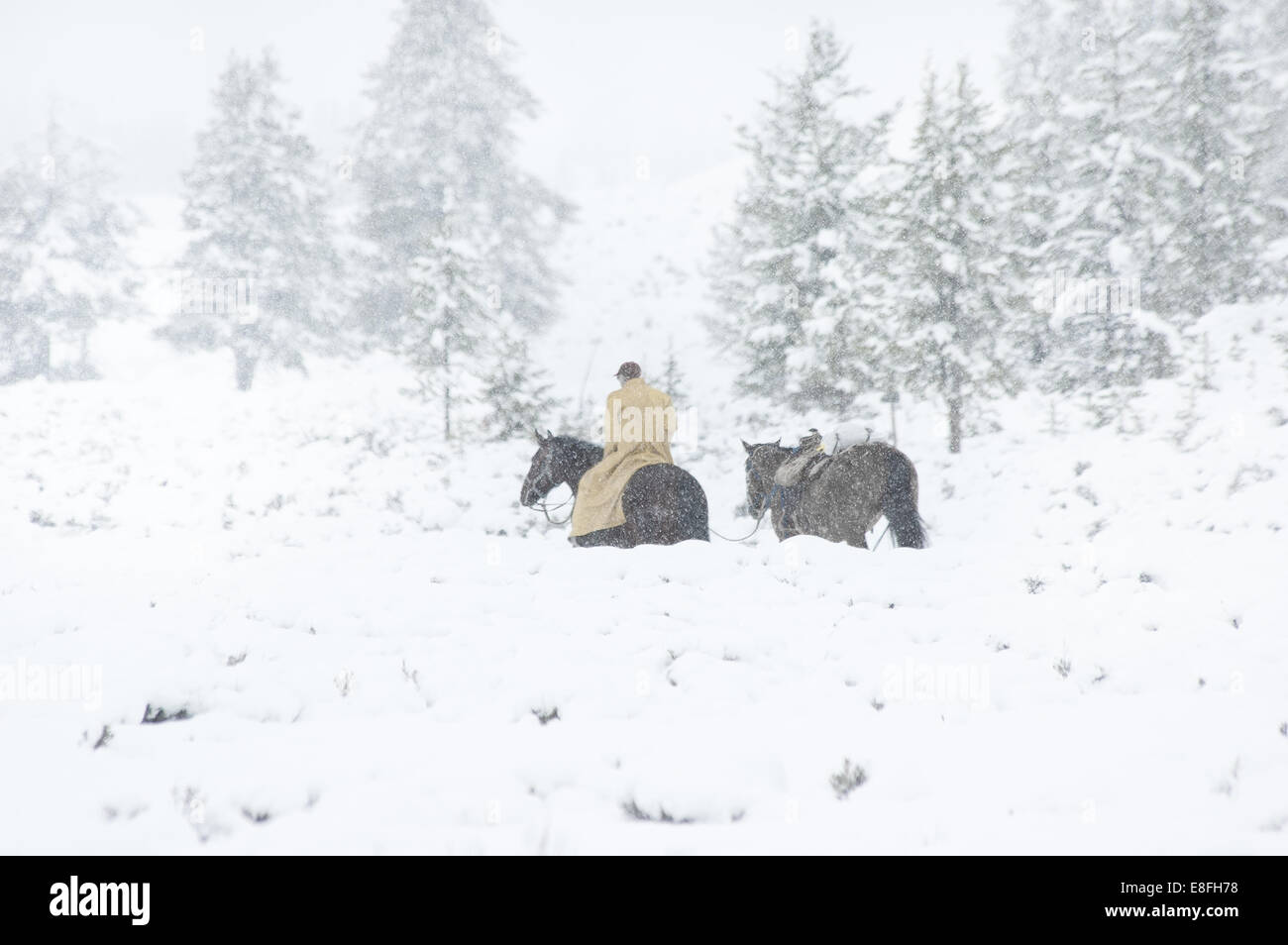 Cowboy riding a horse in the snow, Wyoming, USA Stock Photo