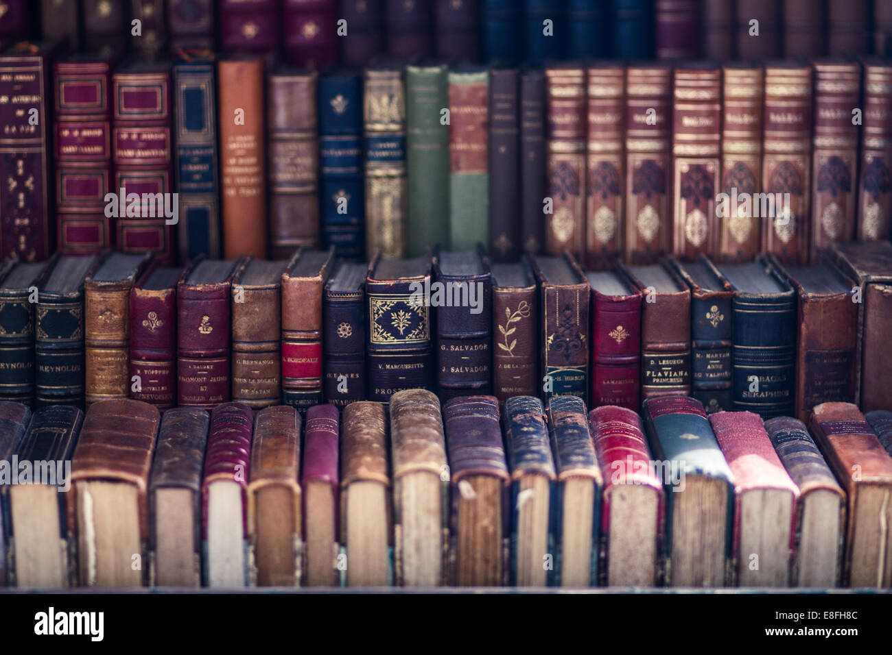 Close up of old antique books Stock Photo