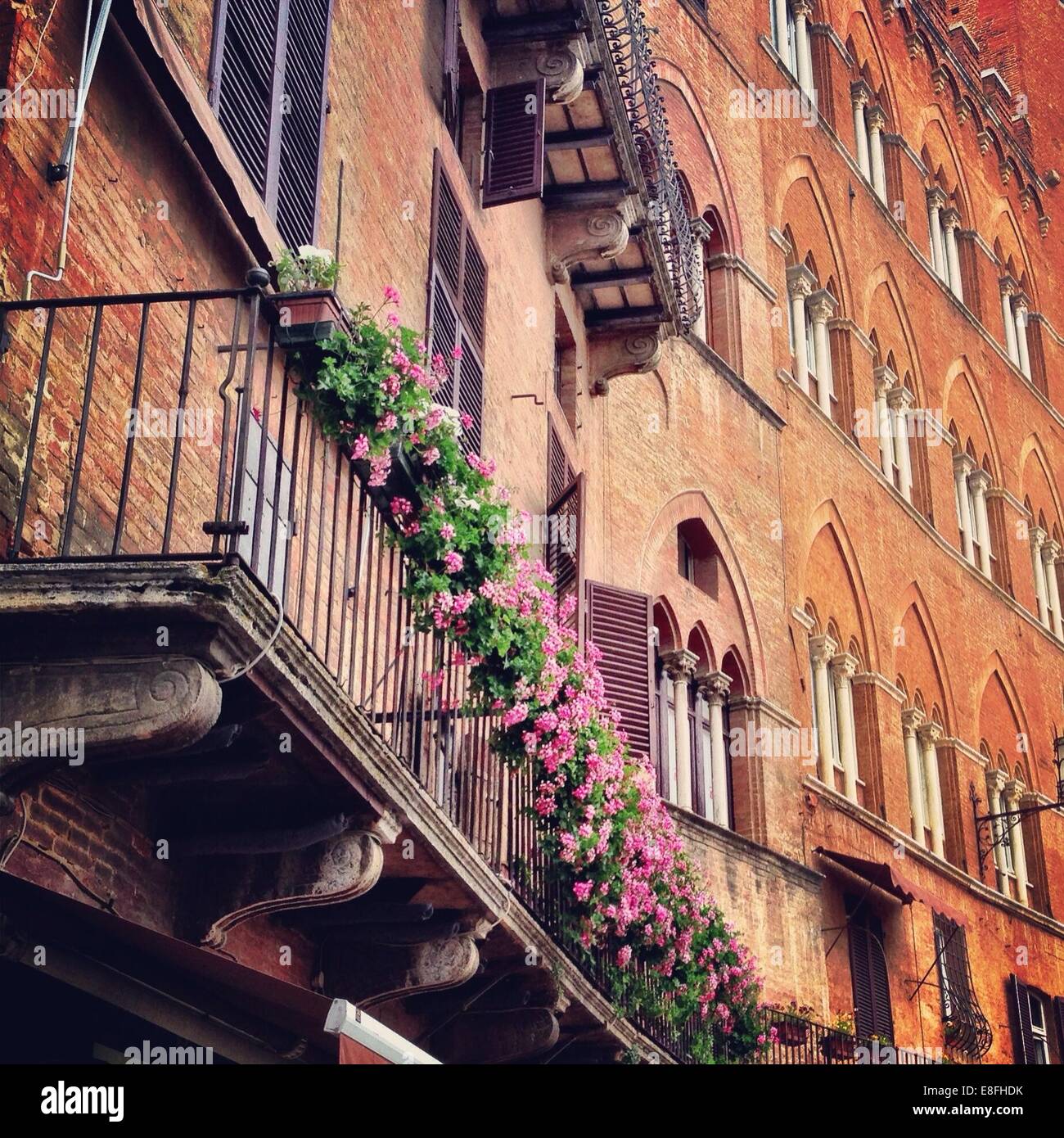 Italy, Tuscany, Balcony flowers in Tuscany Stock Photo