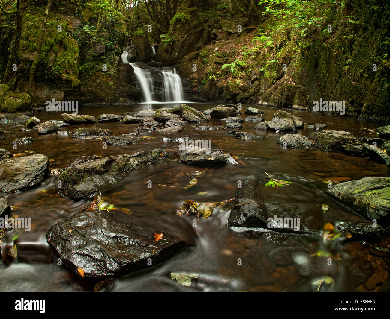 Ireland, Cork County, Cork, Mullinhasig Waterfall Stock Photo