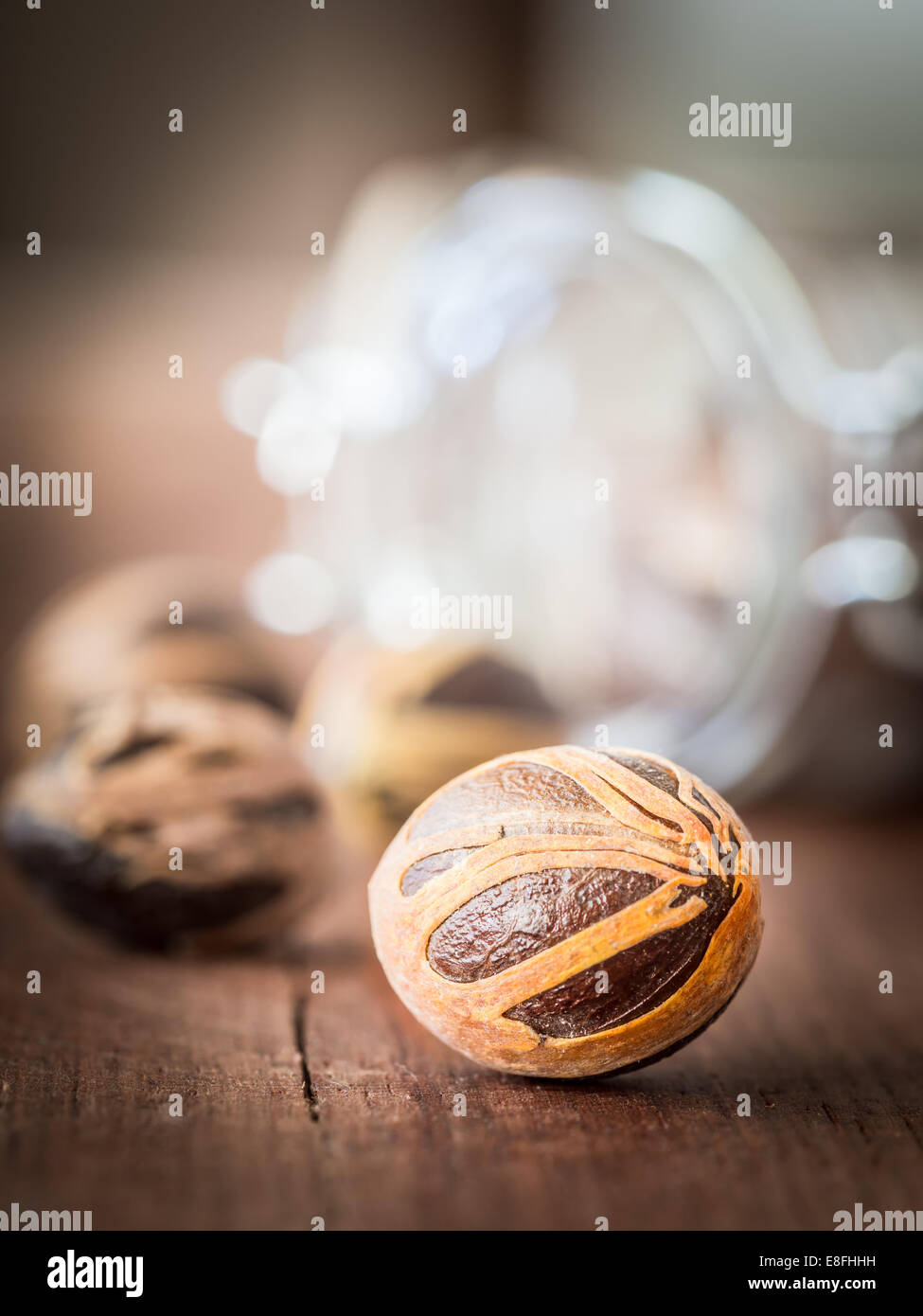 Nutmeg zanzibar tanzania hires stock photography and images Alamy