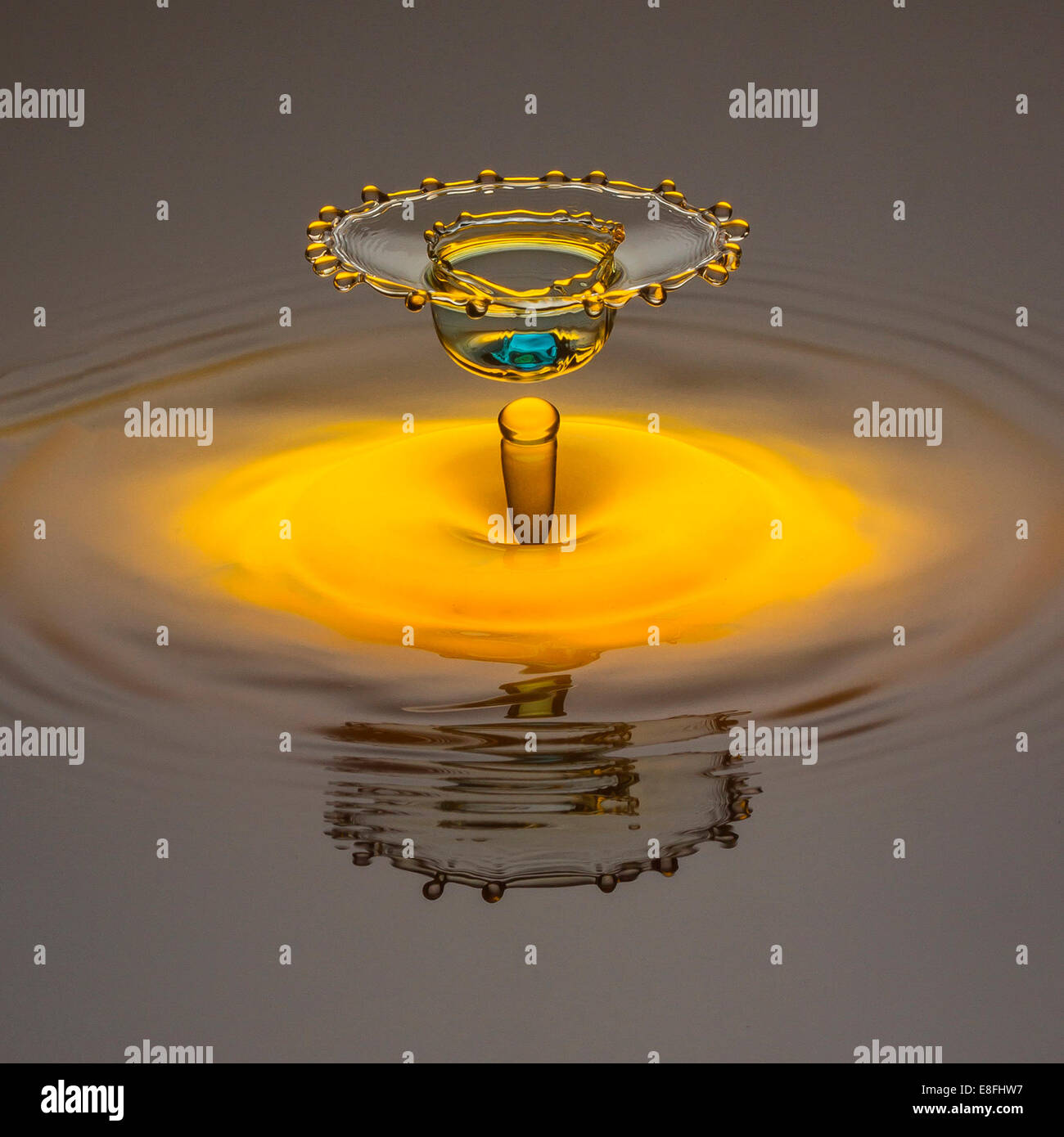 Room the agency Stock Photos & Images from Alamy