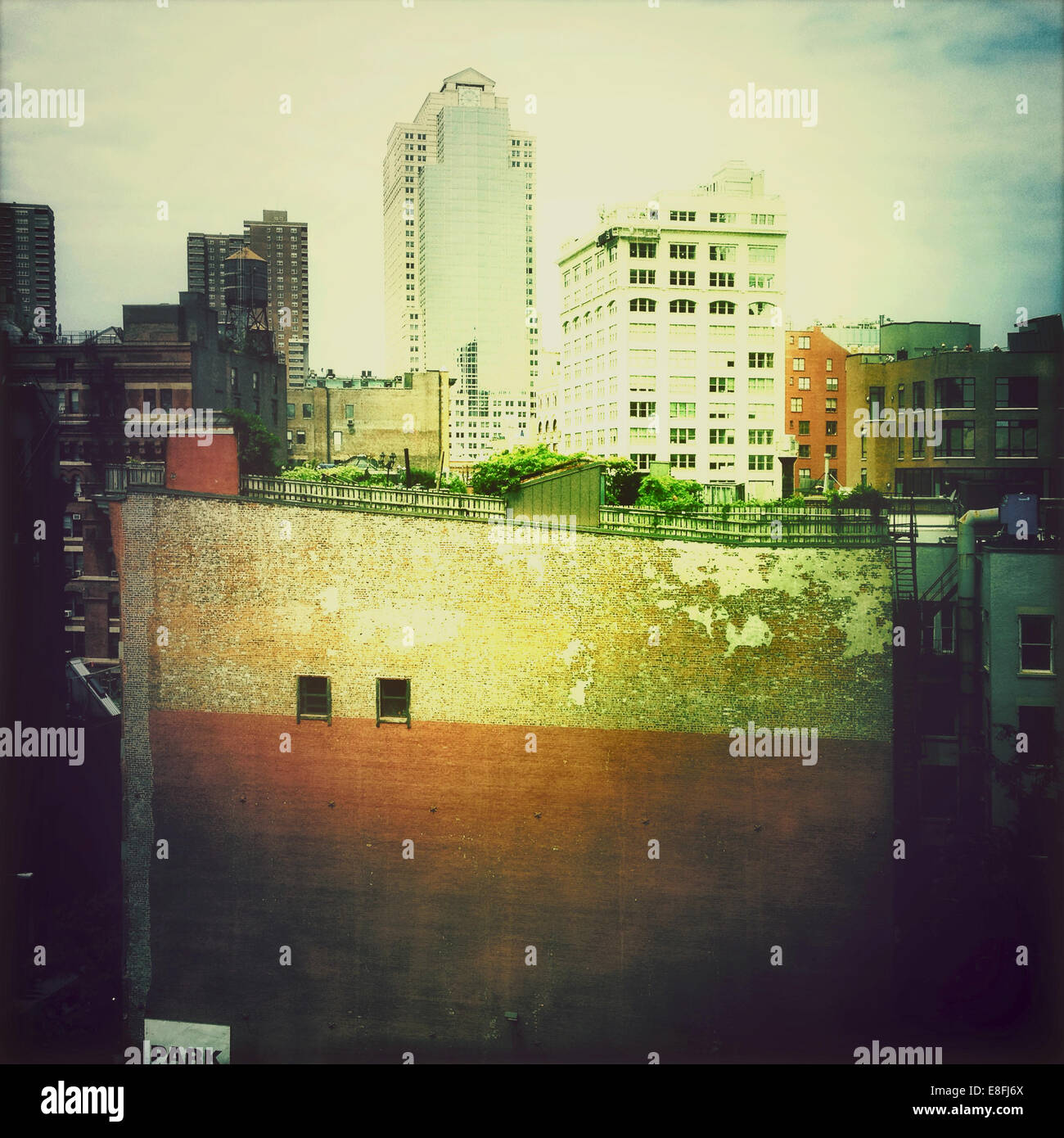 USA, New York State, New York City, Manhattan, Tribeca, Urban garden on roof Stock Photo