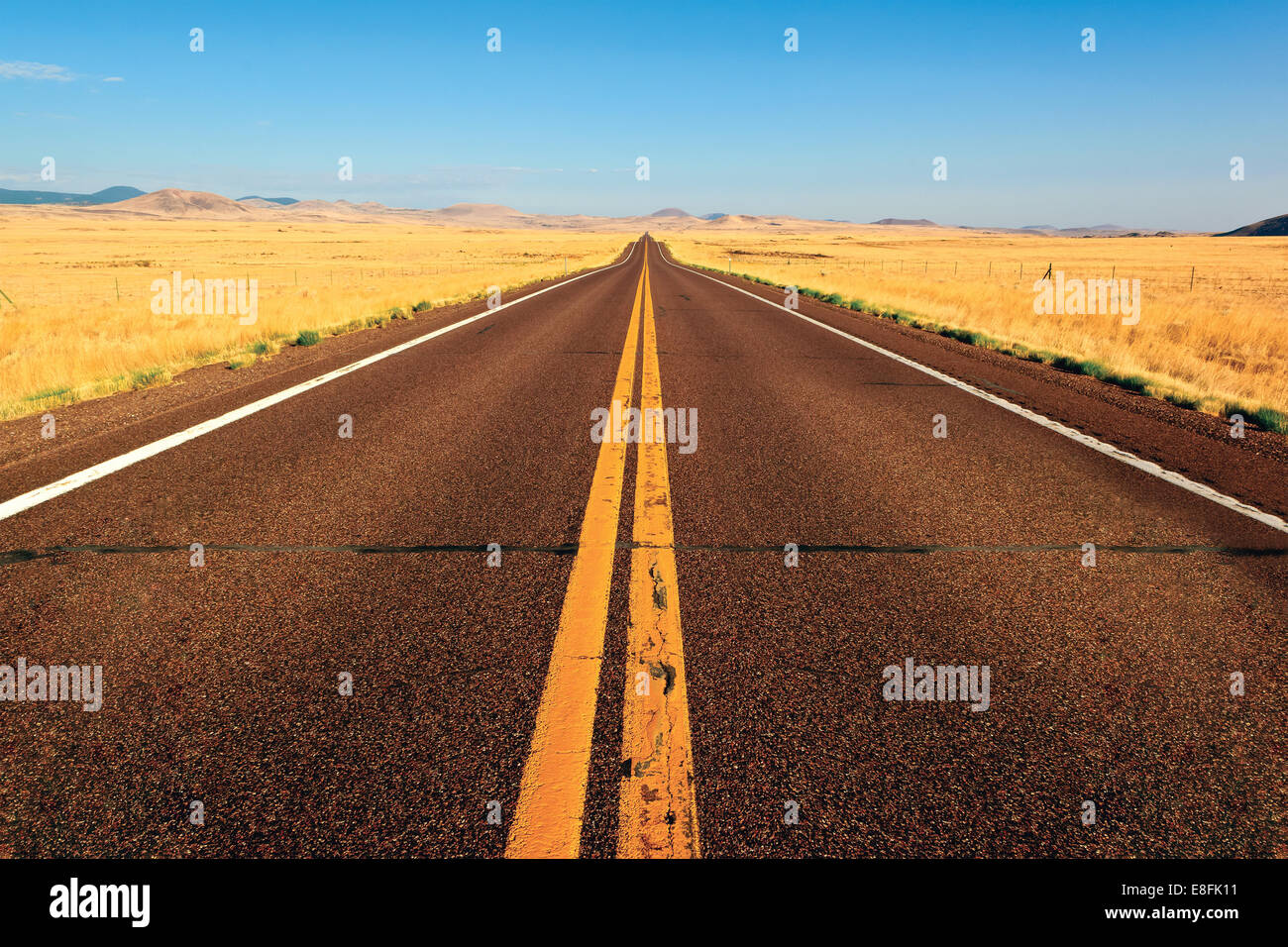 USA, Arizona, Road between Springerville and Show Low Stock Photo Alamy