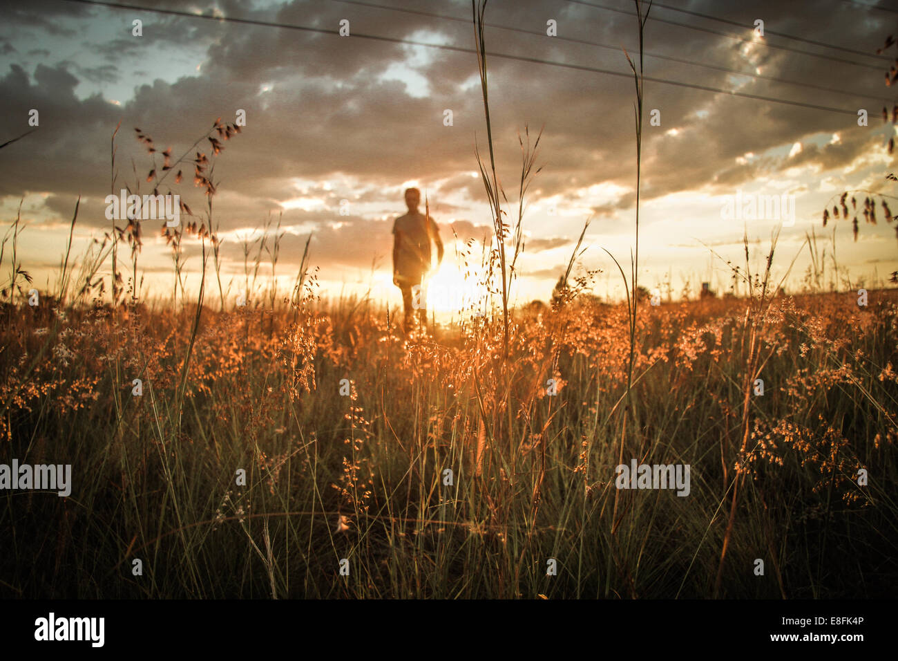 Man In Field As Sunset Stock Photo
