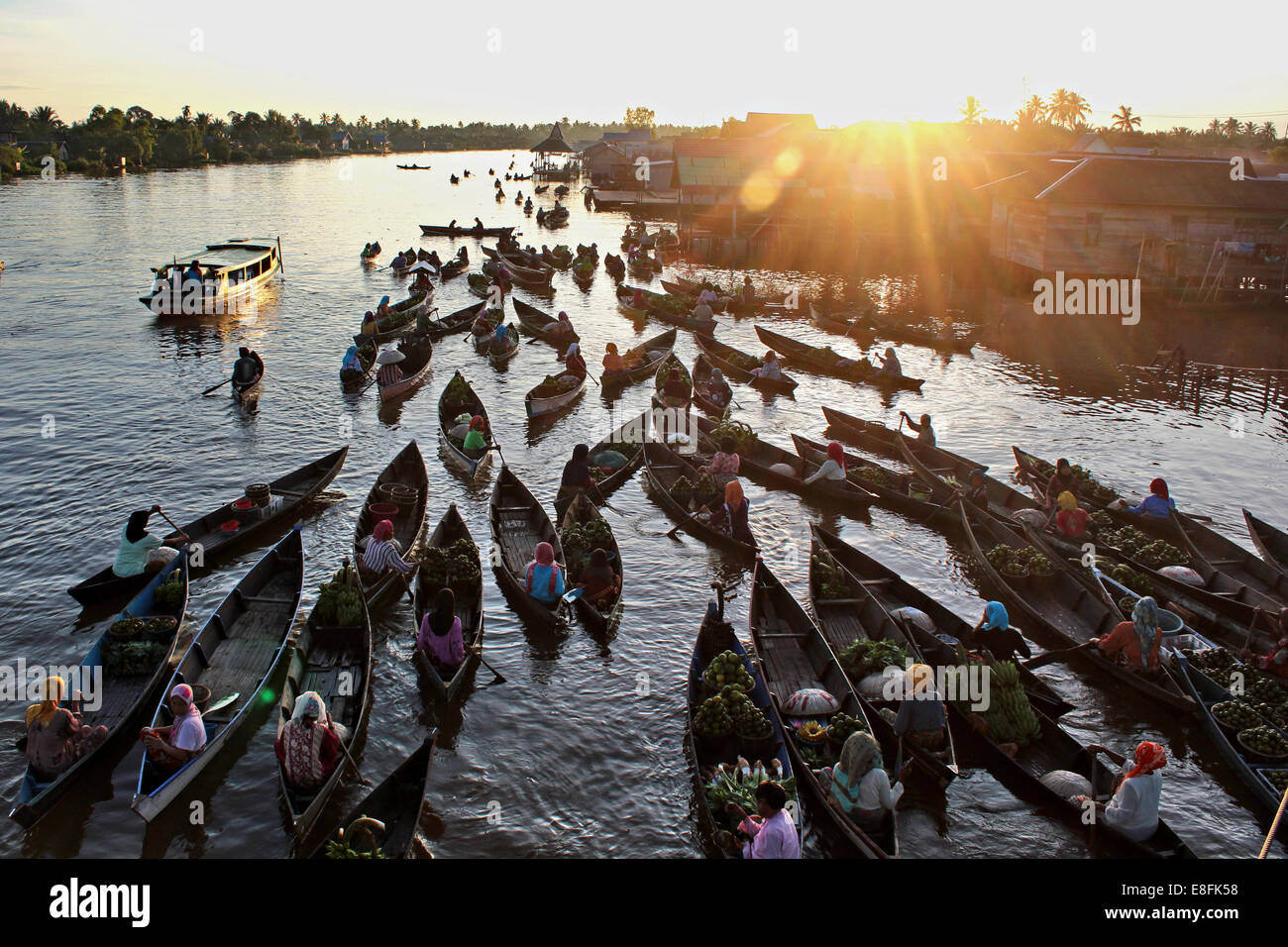 Southeast asia exotica lok baintan hires stock photography and images