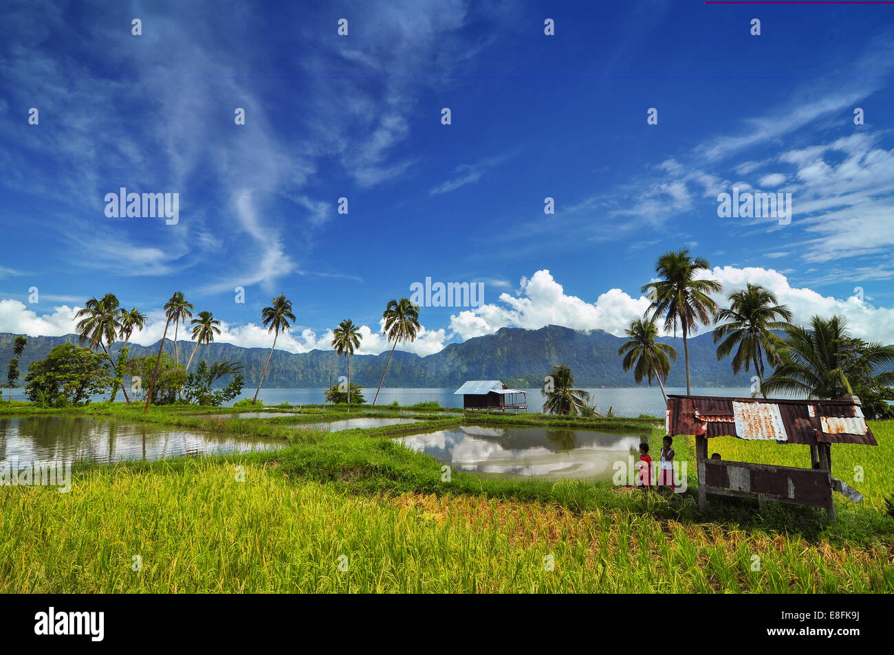 West Sumatra, Agam Regency, Barat Maninjau, Maninjau Stock Photo